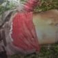 Keterangan gambar : Korban sekaligus pelaku diduga pencuri ayam yang duel dengan pemilik ayam hingga menghembuskan napas terahir setelah terkena sabetan senjata tajam.(Kusmulia)