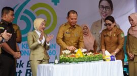 Acara puncak HKN ini juga dimeriahkan dengan berbagai perlombaan, antara lain: Lomba Balita Sehat, Penyuluhan Kader Kesehatan, Lomba Cerdas Cermat, Yel-yel dengan tema Pengentasan Stunting, Penilaian Puskesmas Terbersih, Lomba Video Terfavorit Implementasi ILP di Puskesmas, Lomba Pemberian Makanan Tambahan (PMT) Lokal.