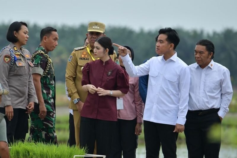 Wakil Presiden (Wapres) Gibran Rakabuming didampingi Selvi Ananda meninjau penggunaan mesin penanam padi atau rice transplanter di area persawahan Desa Aman Damai, Kecamatan Sirapit, Kabupaten Langkat, Provinsi Sumatera Utara, Selasa (24/12/2024).
