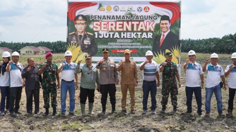 Dukung penanaman satu juta hektar jagung. (ist)