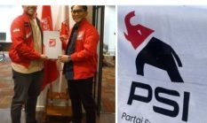 “Gajah-Gajahan PSI Binjai: Berat di Simbol, Ringan di Parlemen”