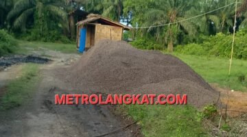 Ironi di Gebang: Gudang Mafia Inti Sawit Berdiri Tegak di Bawah Hidung Aparat