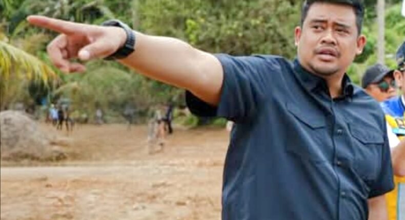 foto slider headline