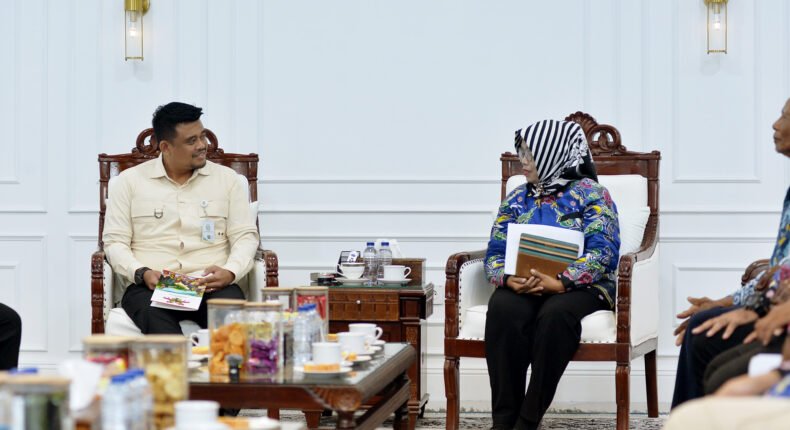 foto slider headline