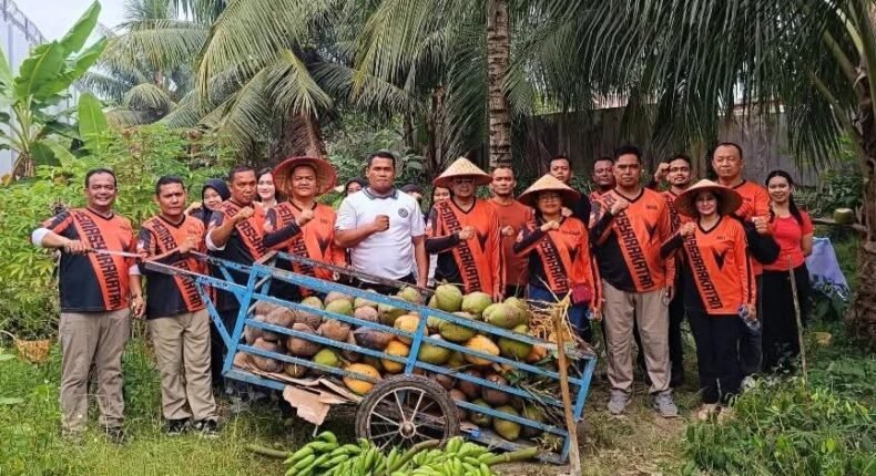 foto slider headline