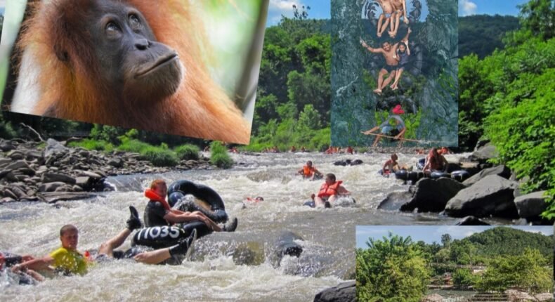 foto slider headline