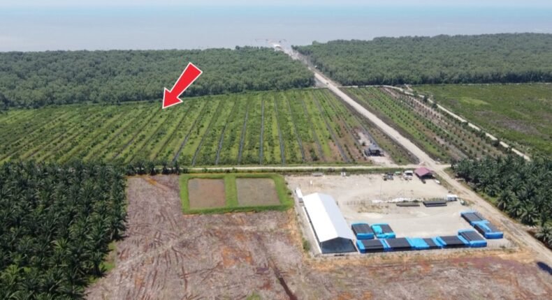 foto slider headline