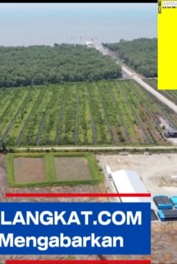 Dalih “Tak Tahu” Hutan Lindung, Oknum Kapolsek di Langkat Terancam Pidana Berat