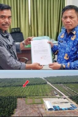 Pelaku Jadi Pahlawan? Drama Pengembalian Hutan Lindung di Langkat Bikin Geleng Kepala”