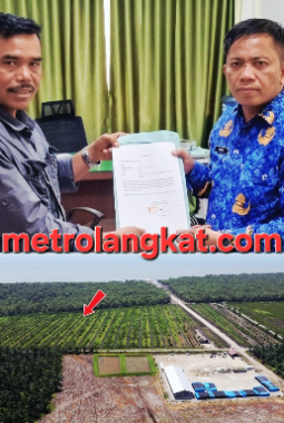 Sikap KPH Stabat Dipertanyakan, Oknum Kapolsek Diduga Lolos Kasus Perambahan Hutan Lindung di Bubun