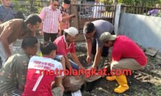Rico Waas Salurkan Dua Sapi Kurban untuk Wartawan Pemko Medan