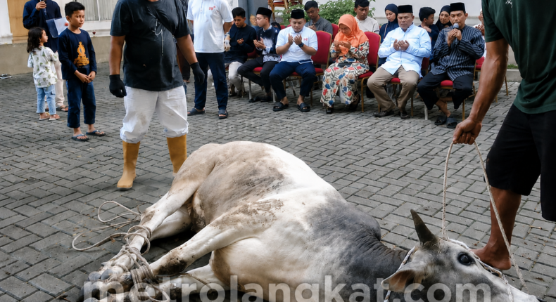 foto slider headline