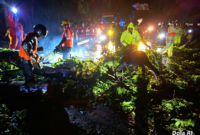 Foto : Terlihat petugas berjibaku membersihkan pohon yang tumbang menutupi jalan.(ist)