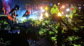 Foto : Terlihat petugas berjibaku membersihkan pohon yang tumbang menutupi jalan.(ist)