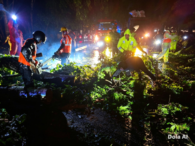 Foto : Terlihat petugas berjibaku membersihkan pohon yang tumbang menutupi jalan.(ist)