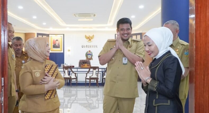 foto slider headline